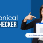 Canonical tag checker